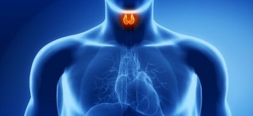Endocrinologia
