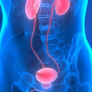Urologia e andrologia