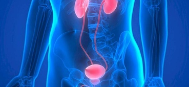 Urologia e andrologia