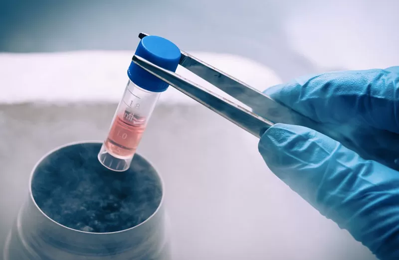 Cellule staminali: quando aspettarsi un effetto?