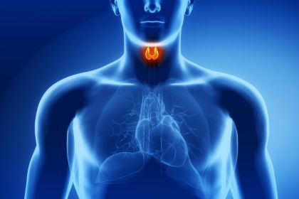 Endocrinologia