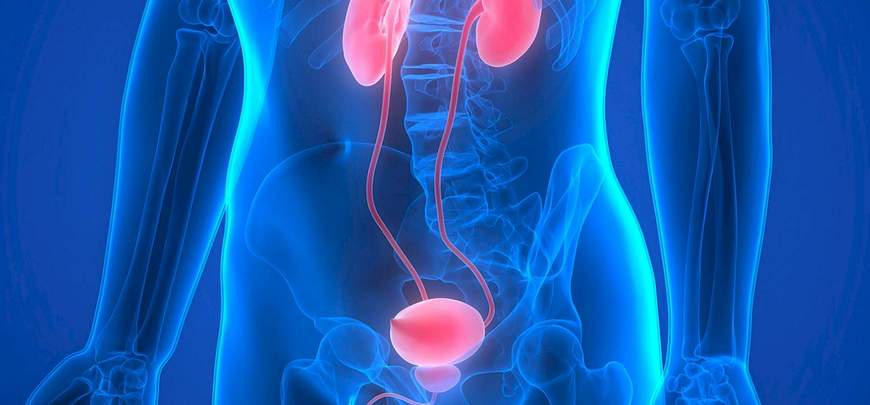 Urologia e andrologia